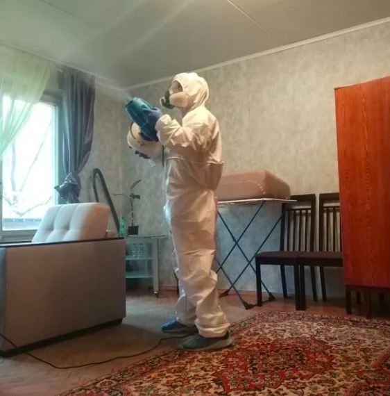 дезинсекция квартиры в Олонце
